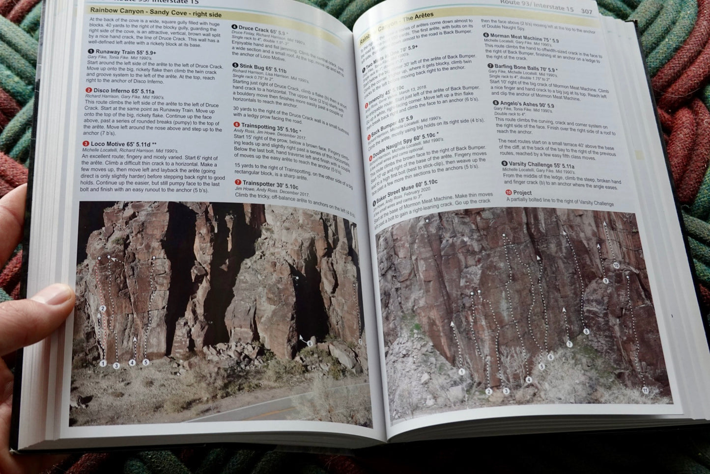 Mojave Limestone by Jerry Handren (2021)