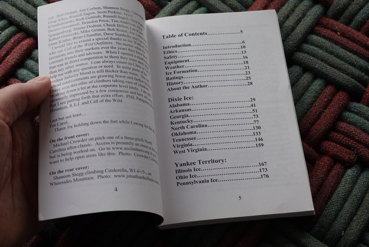 Southern Fried Ice by Michael Crowder (2003)