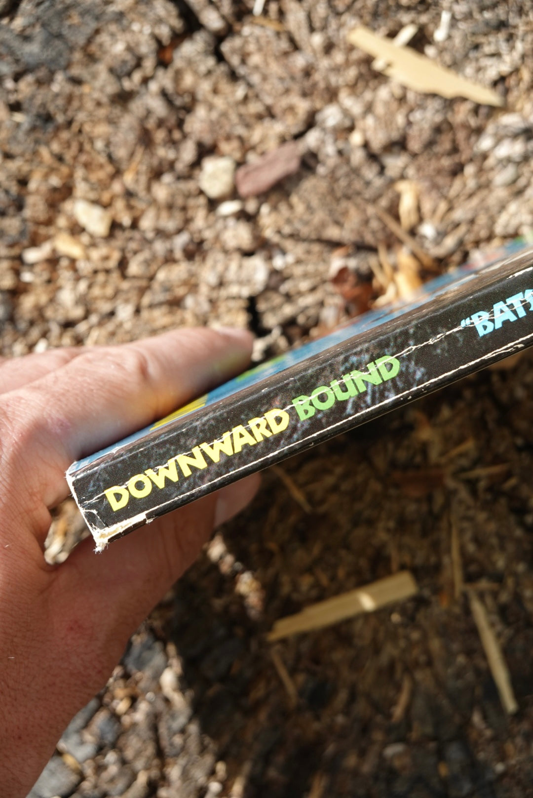 Downward Bound: A Mad! Guide to Rock Climbing by Warren "BATSO" Harding (1975)