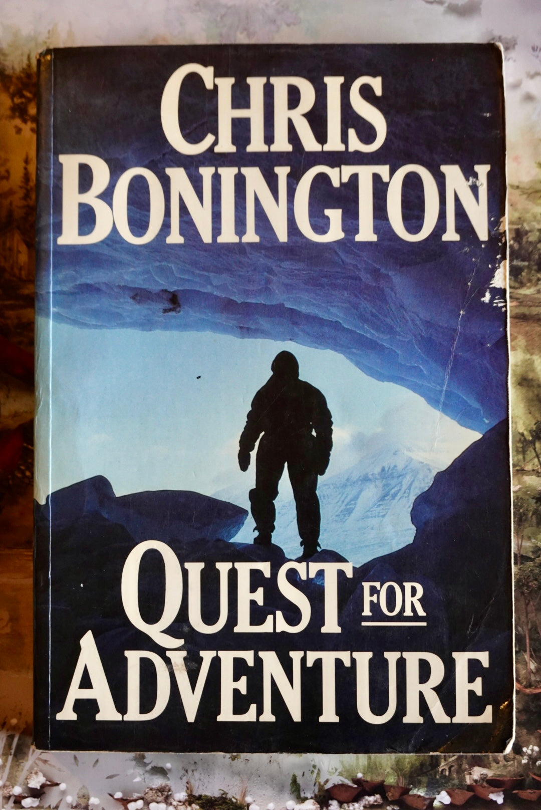 Quest for Adventure by Chris Bonnigton (1981)