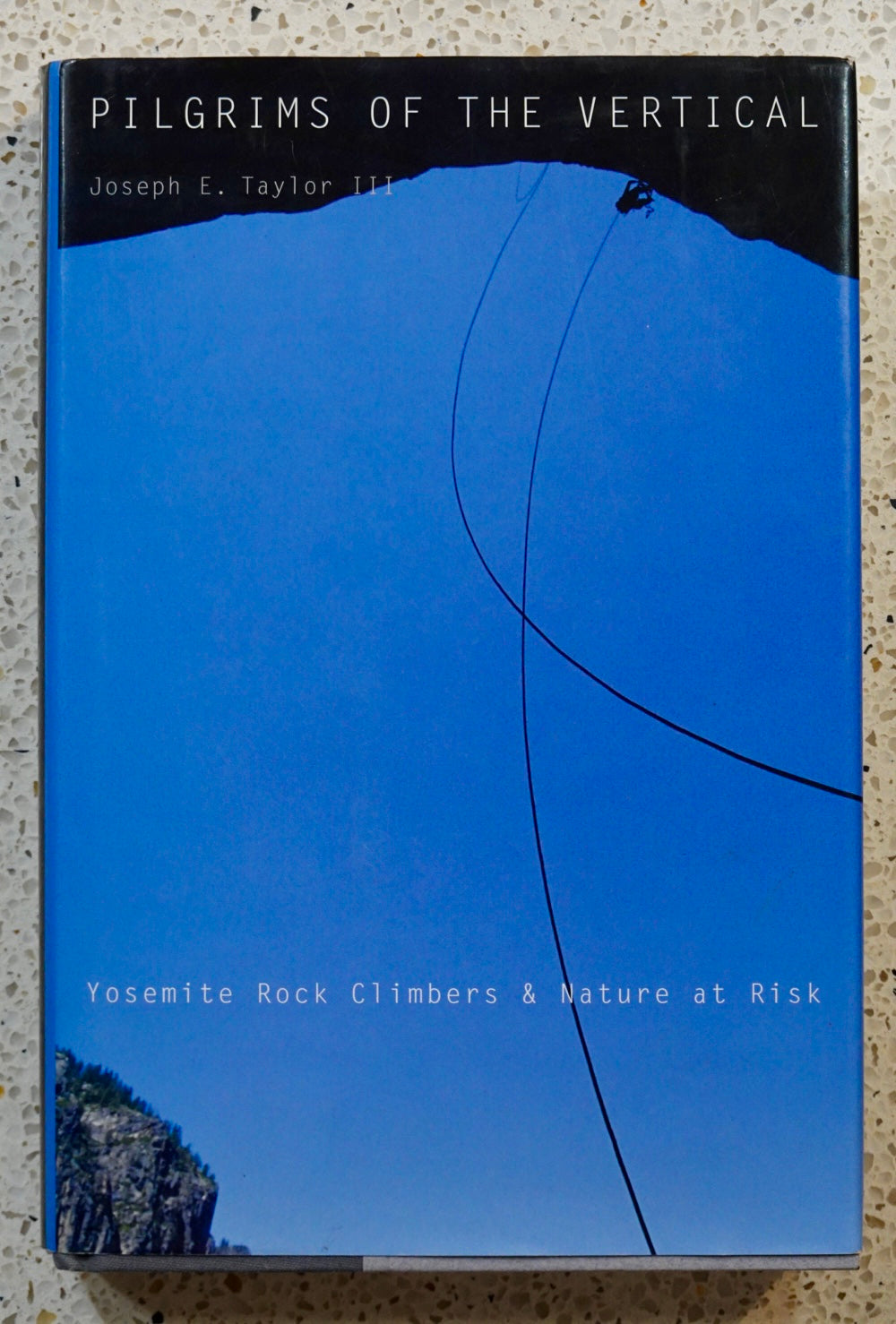 Pilgrims of the Vertical by Joseph Taylor III (2010)