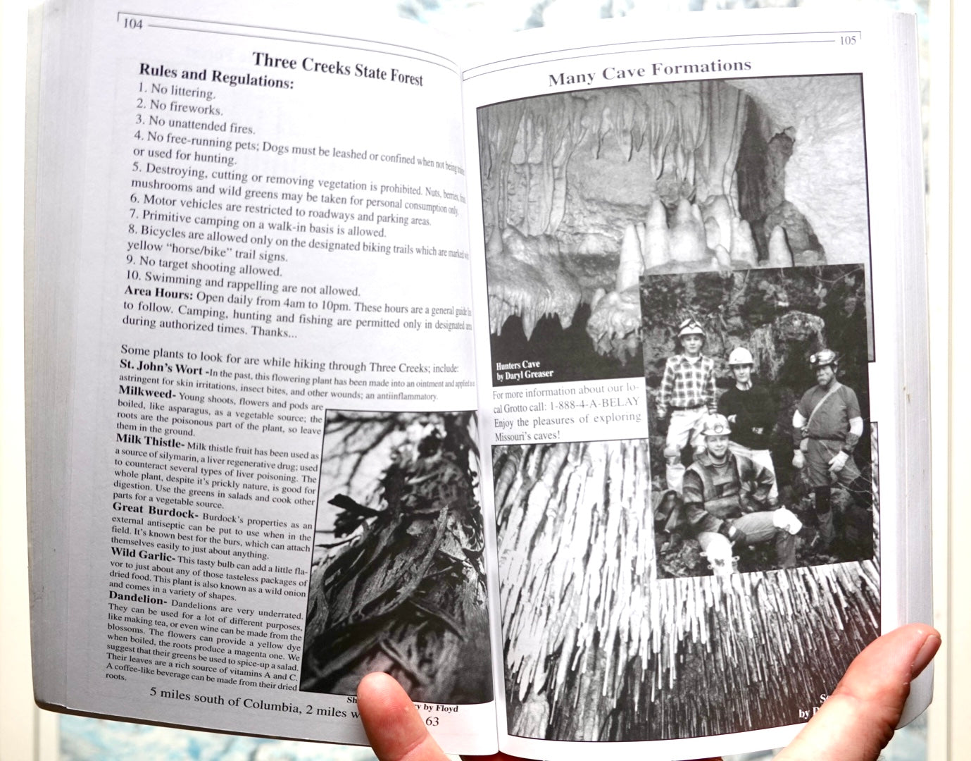 Climber's Guide to the Midwest's Metamorphic Forms by Marcus Floyd (1998)