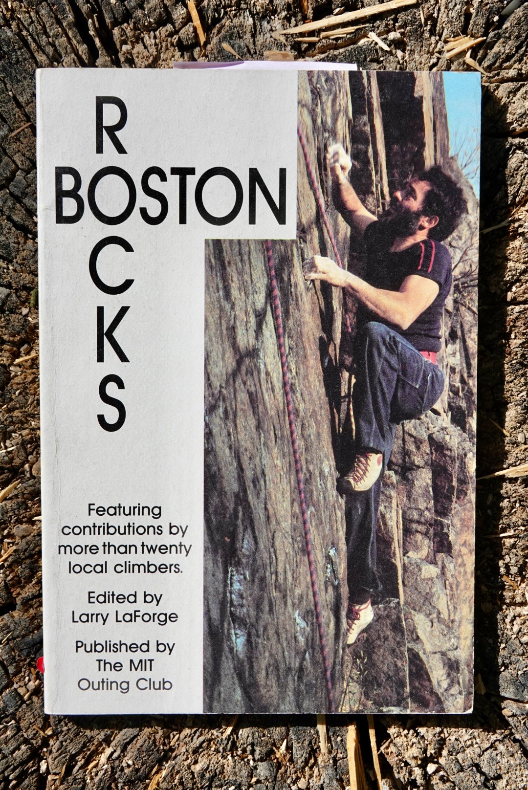 Boston Rocks by Larry LaForge (1991)