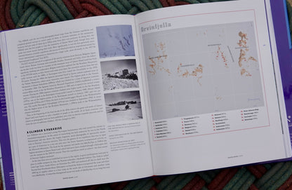 Mountaineering in Antarctica by Damien Gildea (2010)