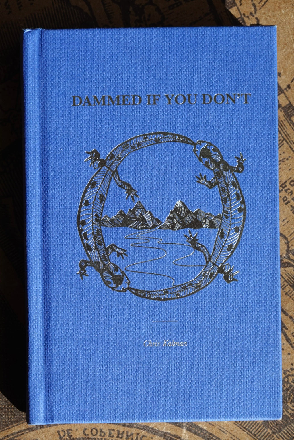 Dammed If You Don’t by Chris Kalman (2021)