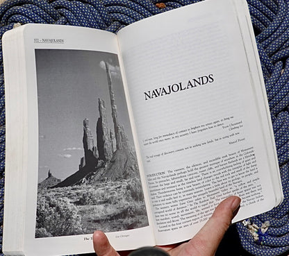 Desert Rock by Eric Bjornstad (1988)