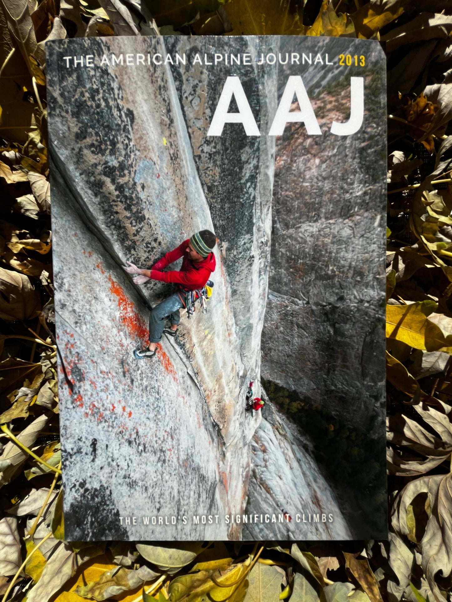 AAJ 2013