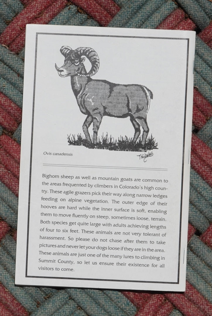High Country Crags by Astaldi & Gruber (1993)