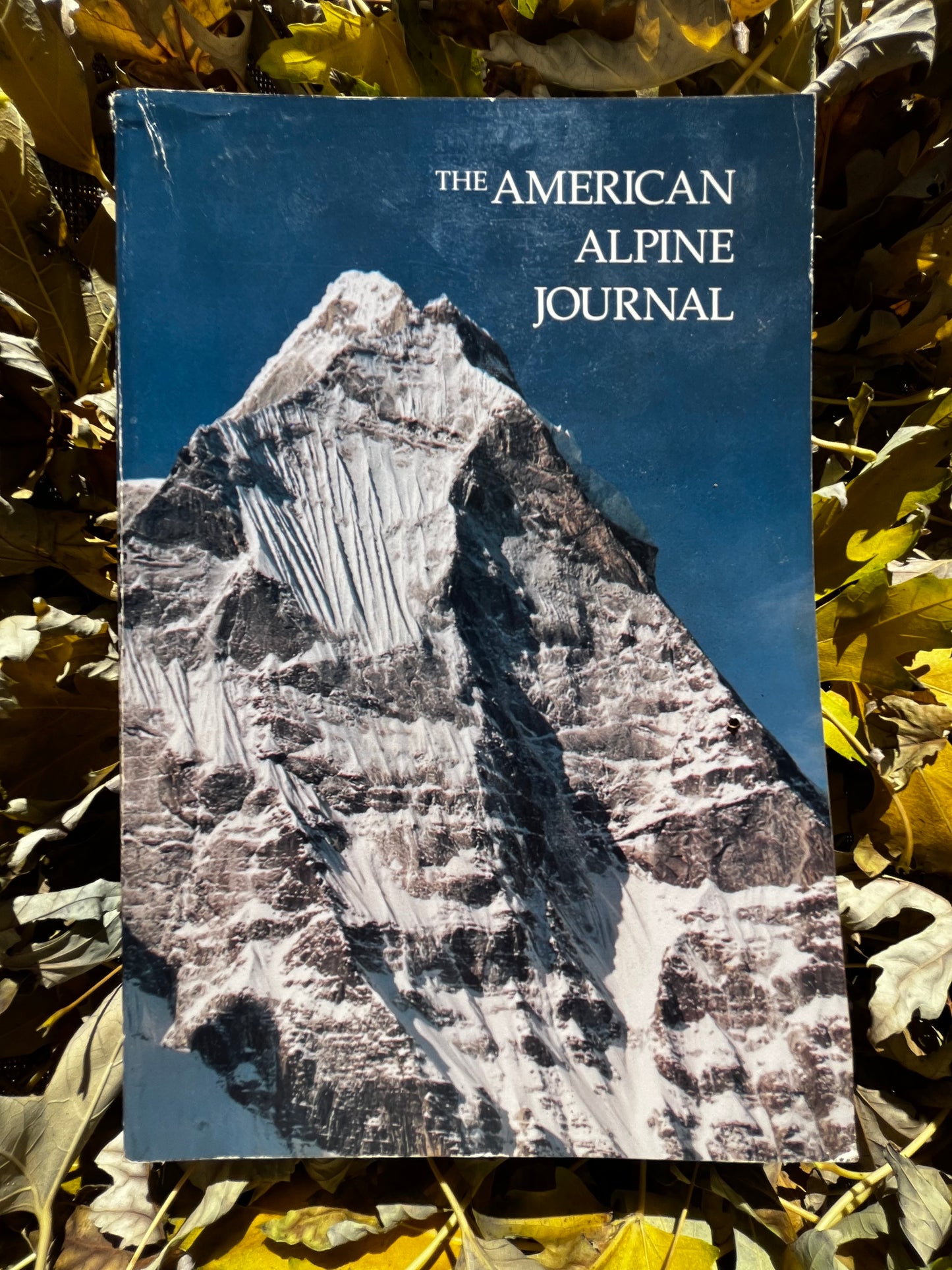 AAJ 1987