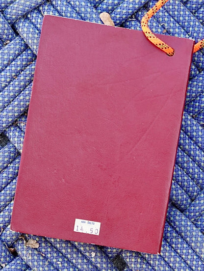 Shawangunk Rock Climbs by Richard Williams (1980)
