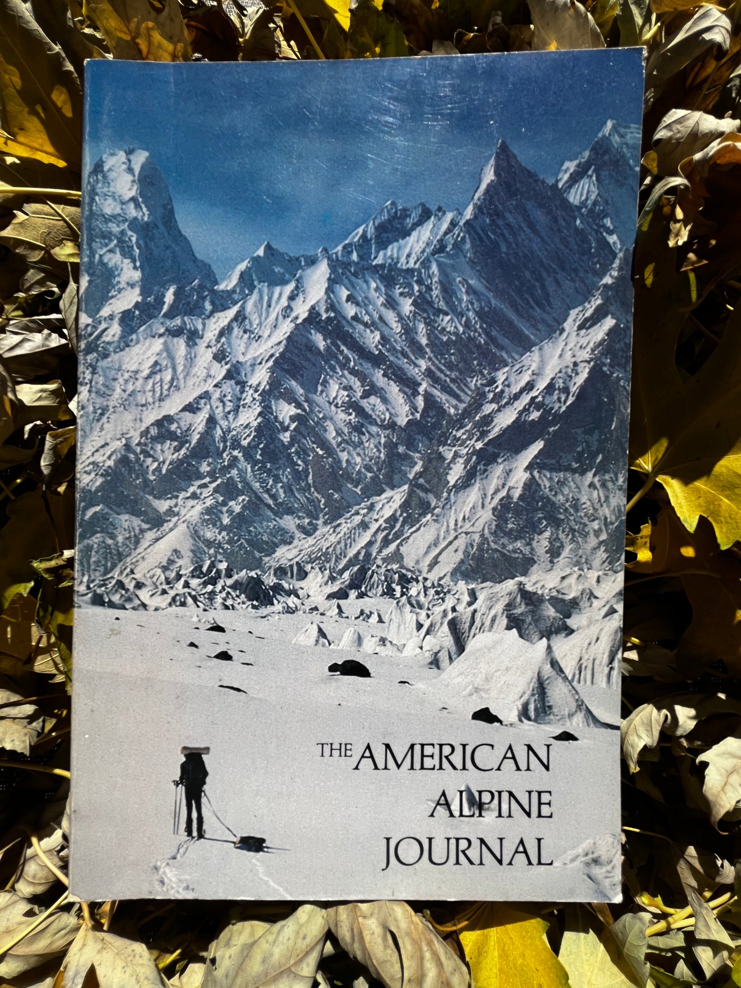 AAJ 1981
