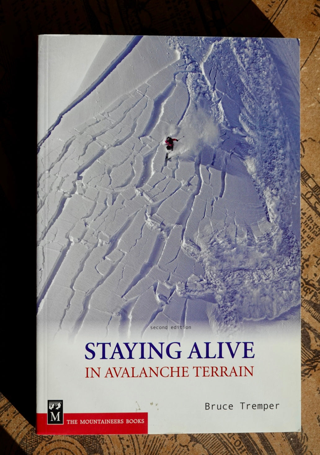 Staying Alive in Avalanche Terrain by Bruce Tremper (2008)