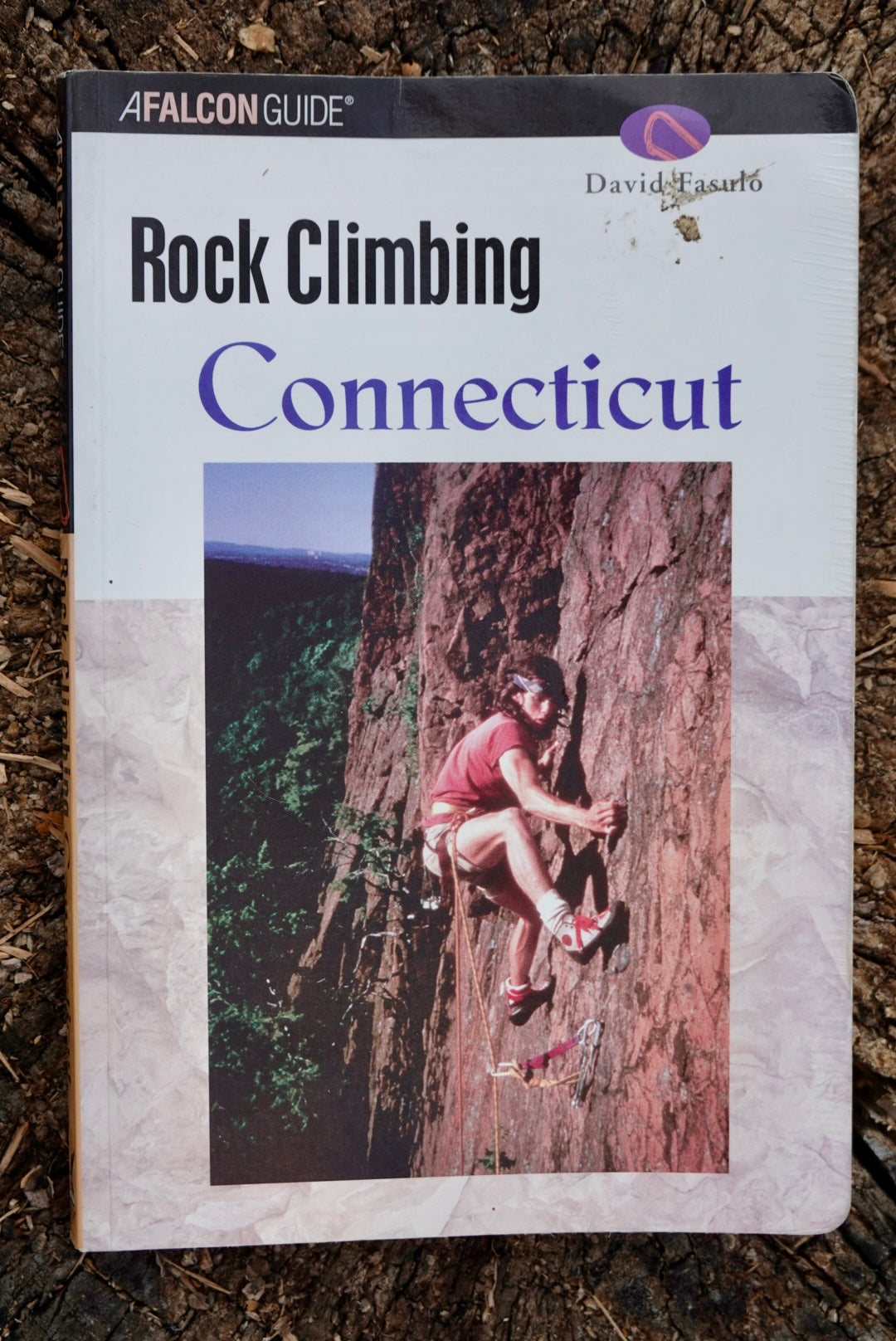Rock Climbing Connecticut by David Fasulo (2002)