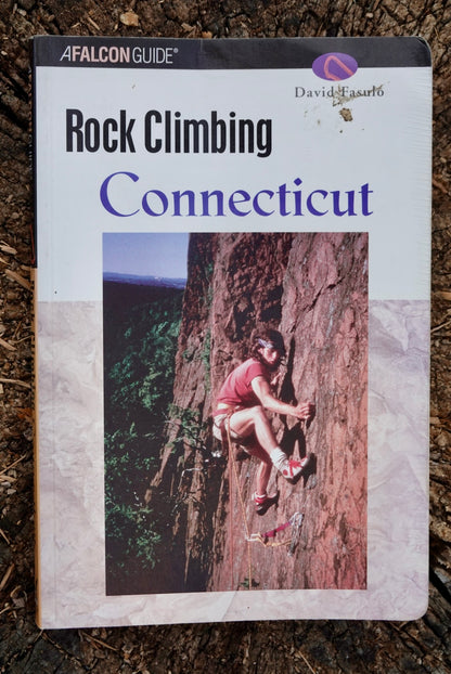 Rock Climbing Connecticut by David Fasulo (2002)