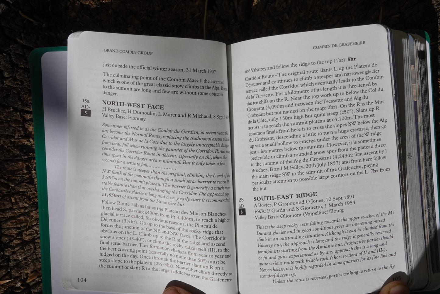 Valais Alps West by Lindsay Griffin (1998)