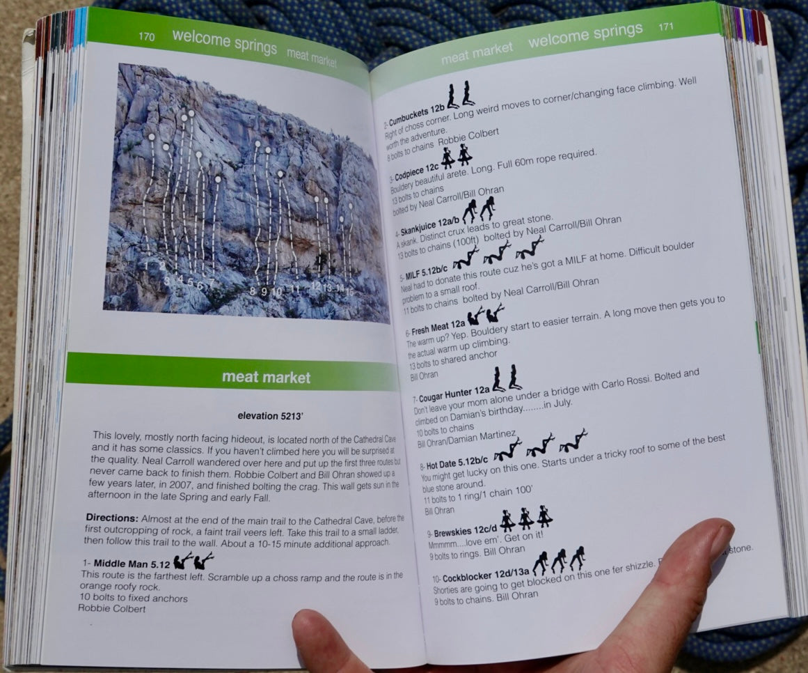 The Limestone Bible by Misty Murphy and Bill Ohran (2015)