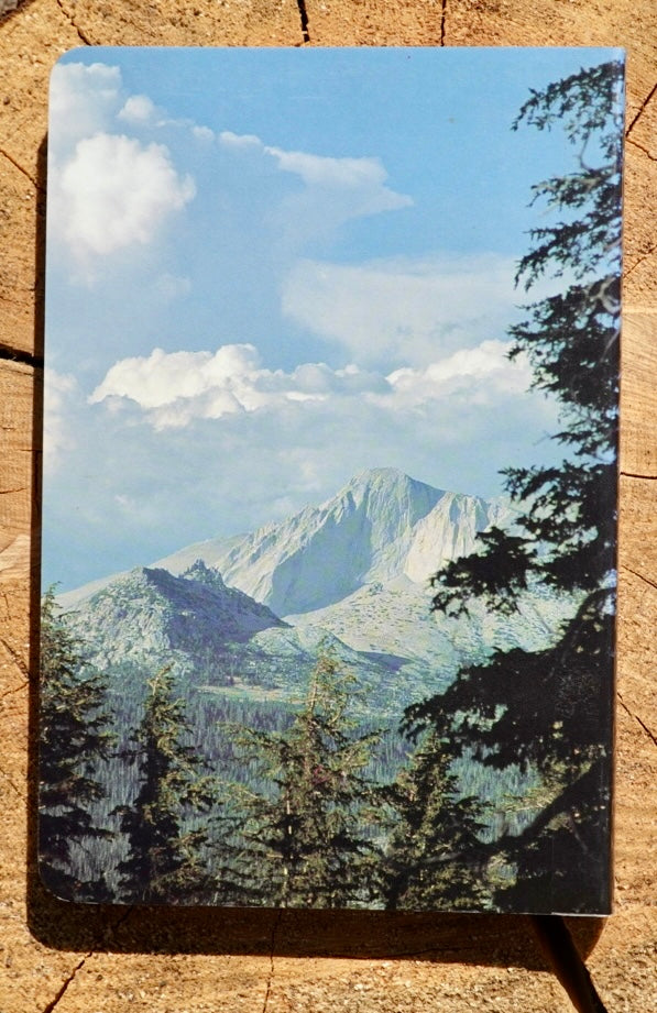 Sierra Classics by Fiddler & Moynier (1993)