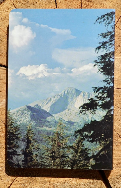 Sierra Classics by Fiddler & Moynier (1993)