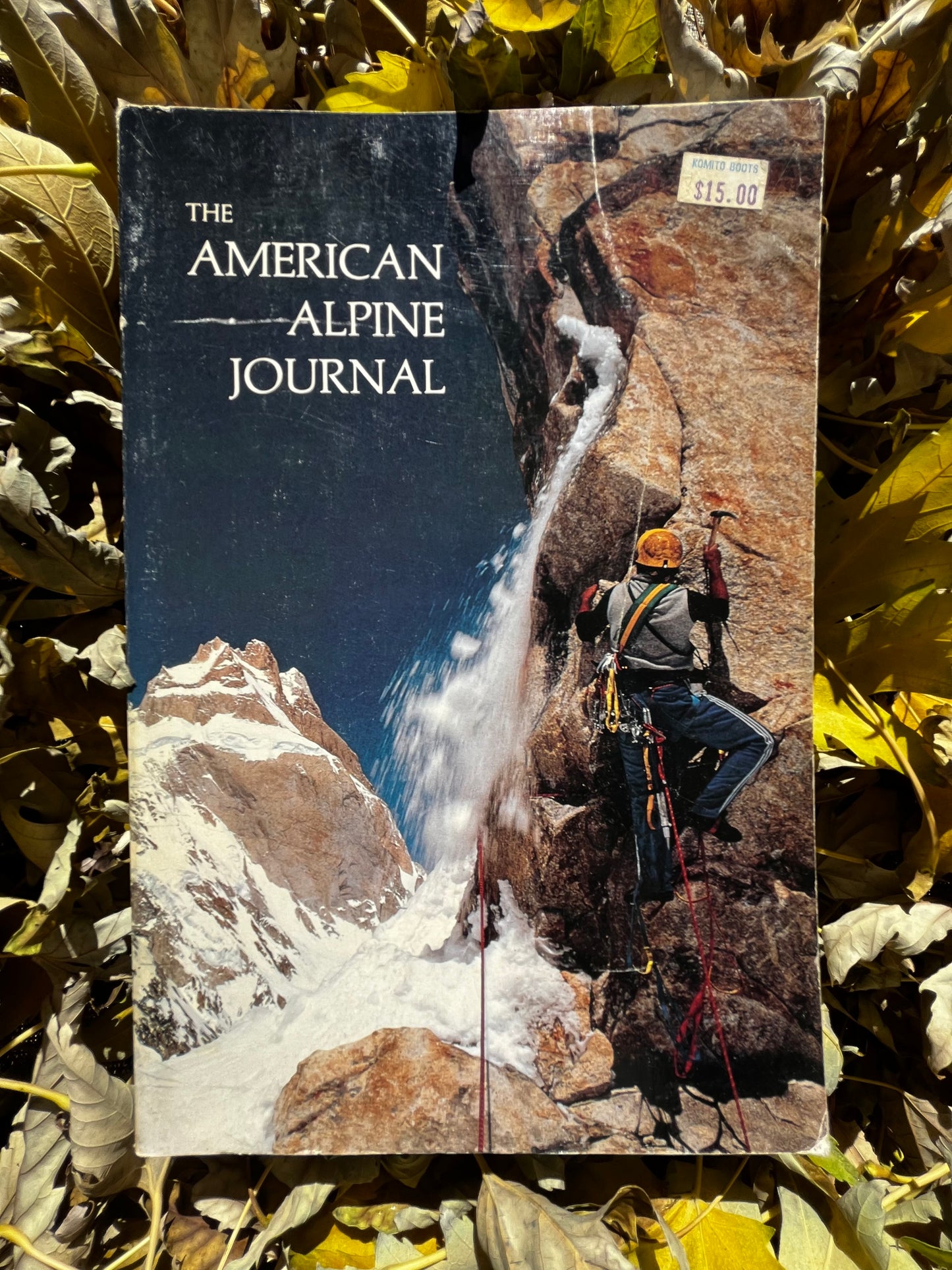 AAJ 1985