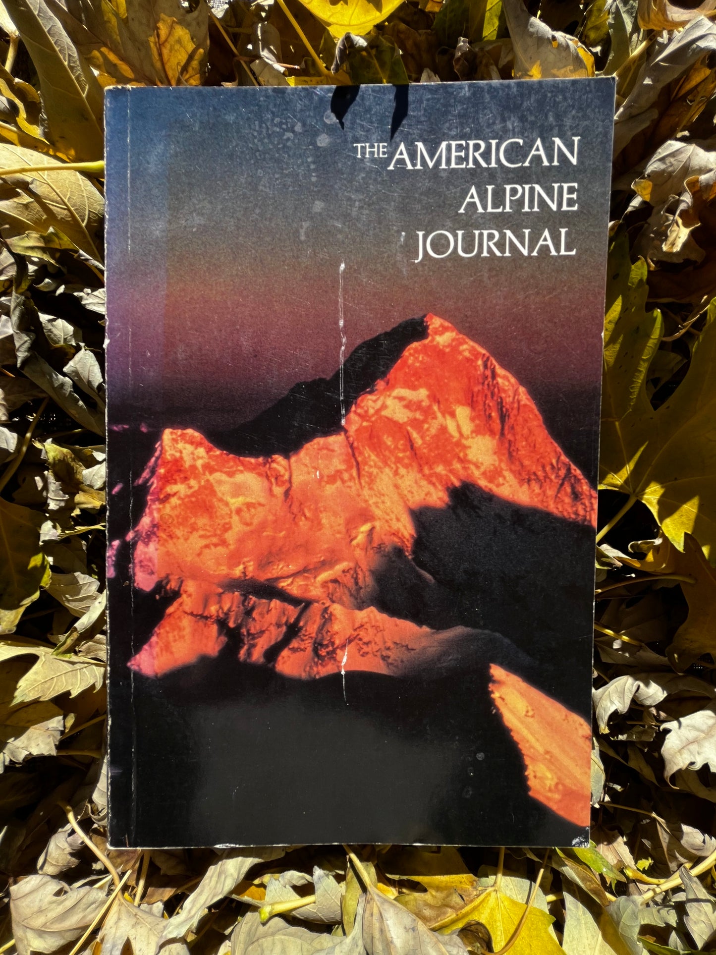 AAJ 1982