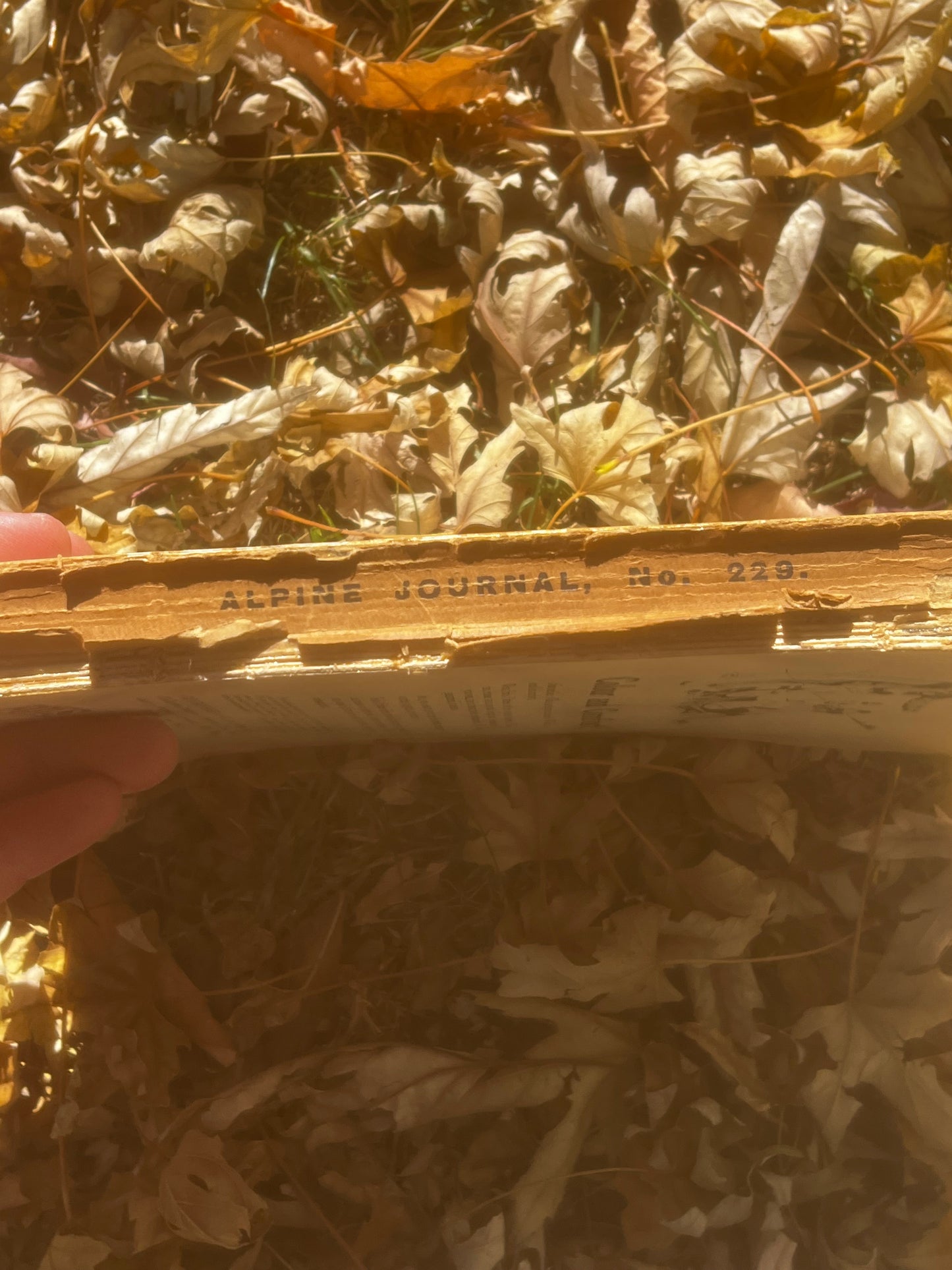 Alpine Journal No. 229 (1924)