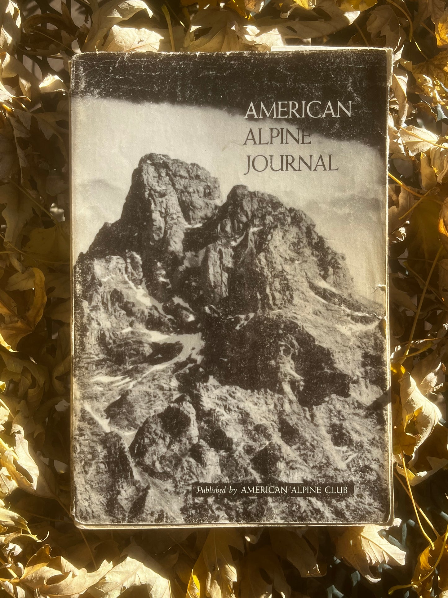 AAJ 1966